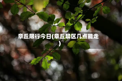 章丘限行今日(章丘禁区几点能走)-第2张图片