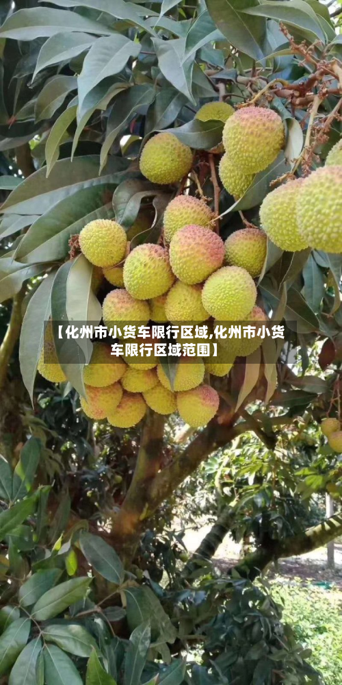 【化州市小货车限行区域,化州市小货车限行区域范围】-第2张图片