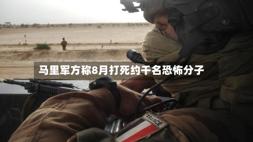 马里军方称8月打死约千名恐怖分子-第2张图片