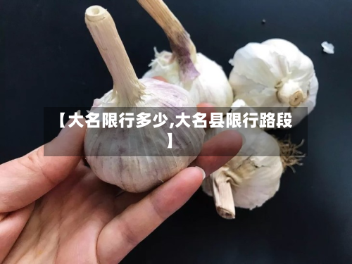 【大名限行多少,大名县限行路段】
