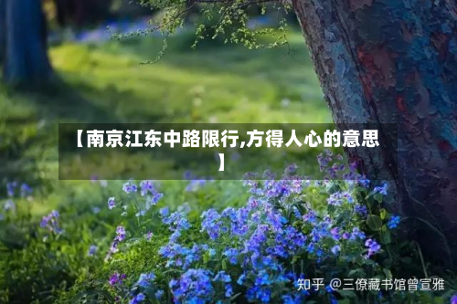 【南京江东中路限行,方得人心的意思】-第2张图片