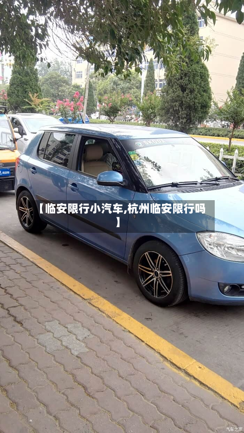 【临安限行小汽车,杭州临安限行吗】-第3张图片