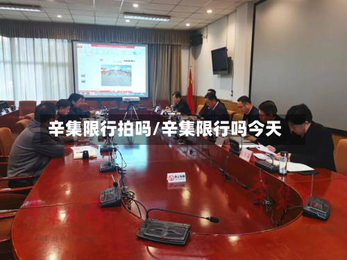 辛集限行拍吗/辛集限行吗今天
