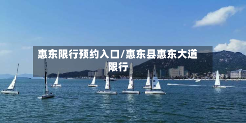 惠东限行预约入口/惠东县惠东大道限行-第2张图片