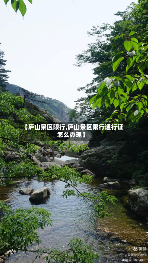 【庐山景区限行,庐山景区限行通行证怎么办理】