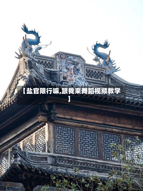 【盐官限行嘛,跟我来舞蹈视频教学】
