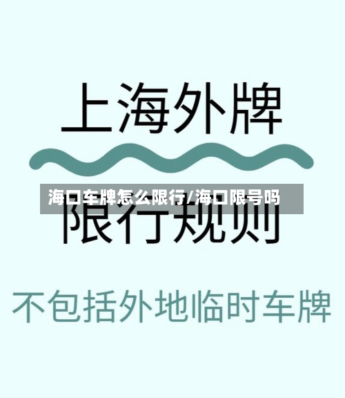 海口车牌怎么限行/海口限号吗-第2张图片