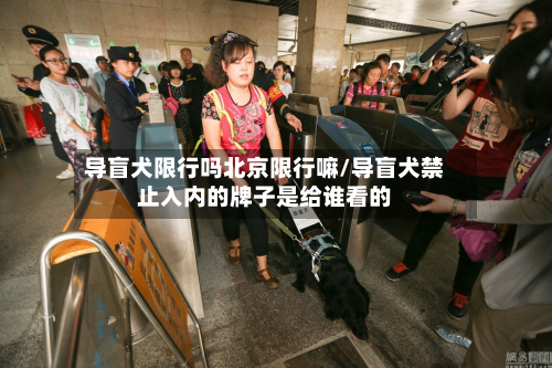 导盲犬限行吗北京限行嘛/导盲犬禁止入内的牌子是给谁看的