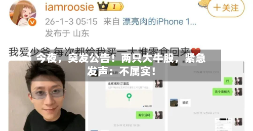 今夜，突发公告！两只大牛股	，紧急发声：不属实！-第3张图片
