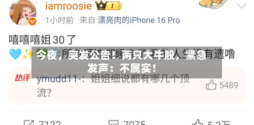 今夜，突发公告！两只大牛股	，紧急发声：不属实！-第2张图片