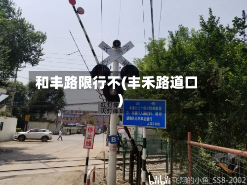 和丰路限行不(丰禾路道口)