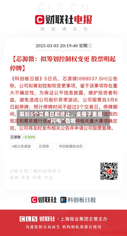 筹划5个交易日即终止	，金橙子重组“闪电”告吹-第3张图片