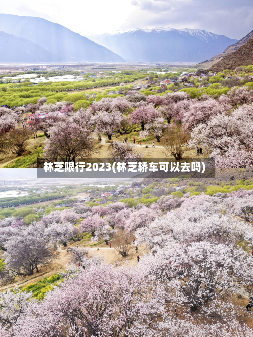 林芝限行2023(林芝轿车可以去吗)