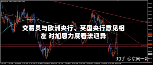 交易员与欧洲央行、英国央行意见相左 对加息力度看法迥异-第2张图片