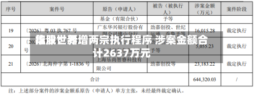 华津世界控股：新增两宗执行程序 涉案金额合计2637万元-第3张图片