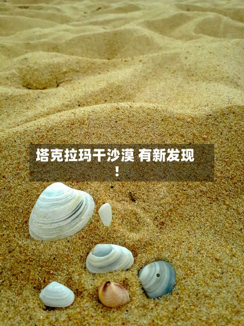 塔克拉玛干沙漠 有新发现!-第2张图片