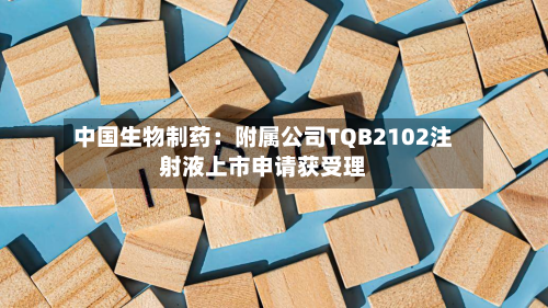 中国生物制药:附属公司TQB2102注射液上市申请获受理
