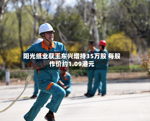 阳光纸业获王东兴增持35万股 每股作价约1.09港元-第1张图片