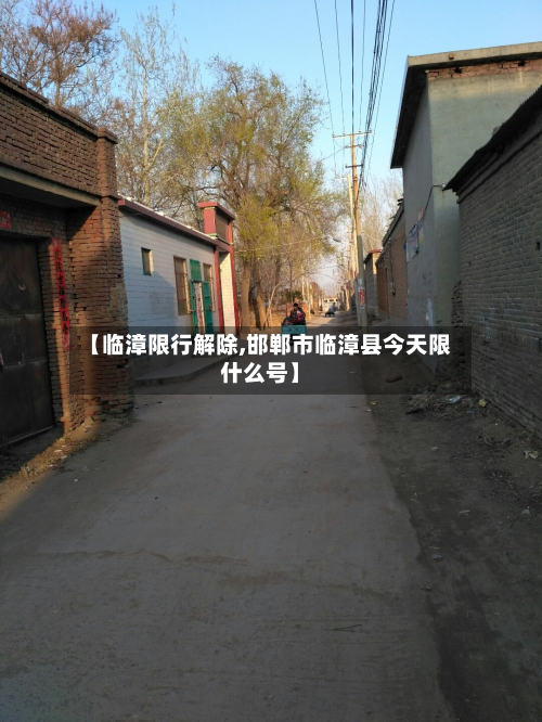 【临漳限行解除,邯郸市临漳县今天限什么号】-第3张图片