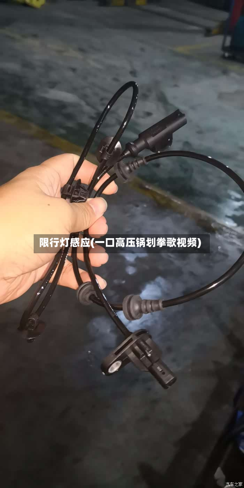 限行灯感应(一口高压锅划拳歌视频)