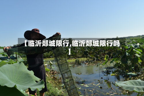 【临沂郯城限行,临沂郯城限行吗】-第2张图片