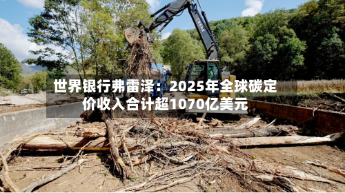 世界银行弗雷泽:2025年全球碳定价收入合计超1070亿美元