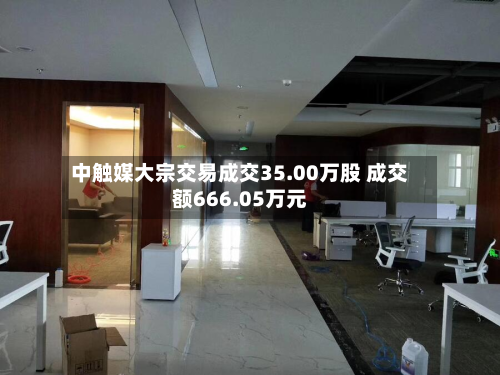 中触媒大宗交易成交35.00万股 成交额666.05万元