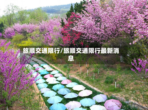 旅顺交通限行/旅顺交通限行最新消息-第2张图片