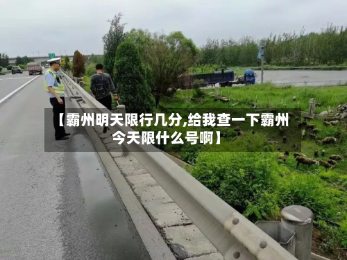 【霸州明天限行几分,给我查一下霸州今天限什么号啊】