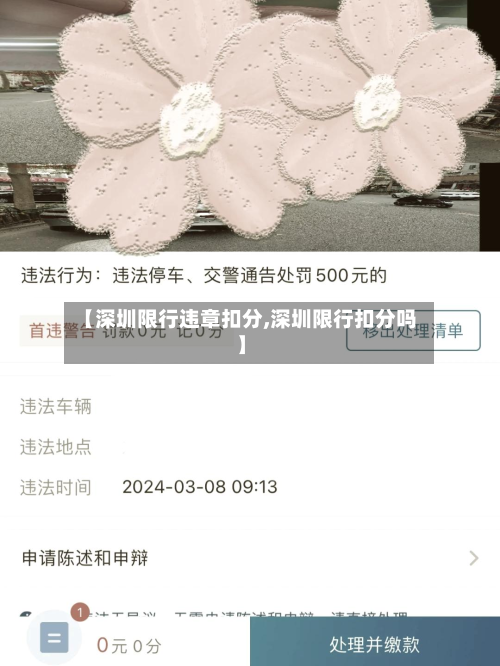 【深圳限行违章扣分,深圳限行扣分吗】